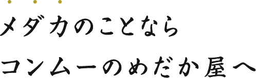 メダカのことならコンムーのめだか屋へ