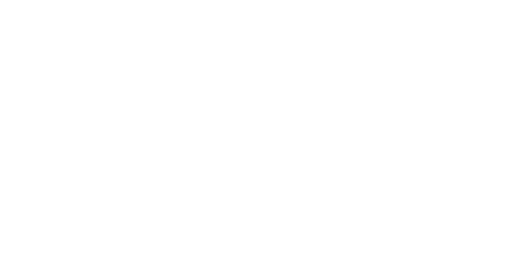 佐賀県唐津市のメダカ専門店　オリジナル品種が彩る美しい水中の世界